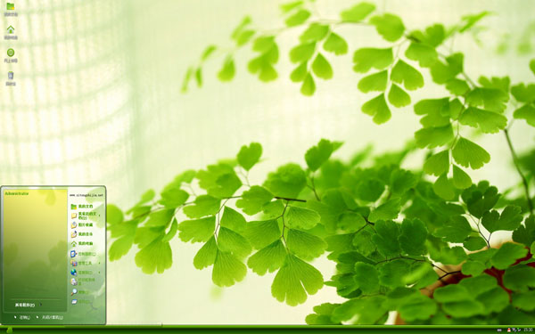  ����ֲ���辰w10����