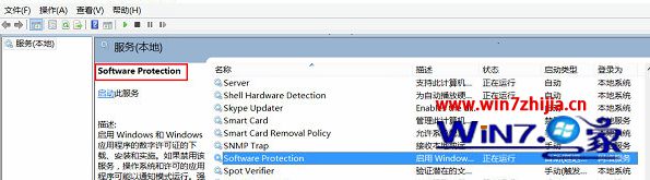 ����Software Protection����