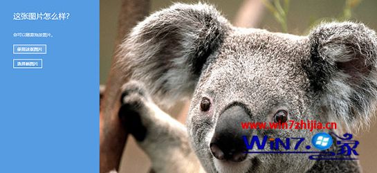 ����ͼƬ����